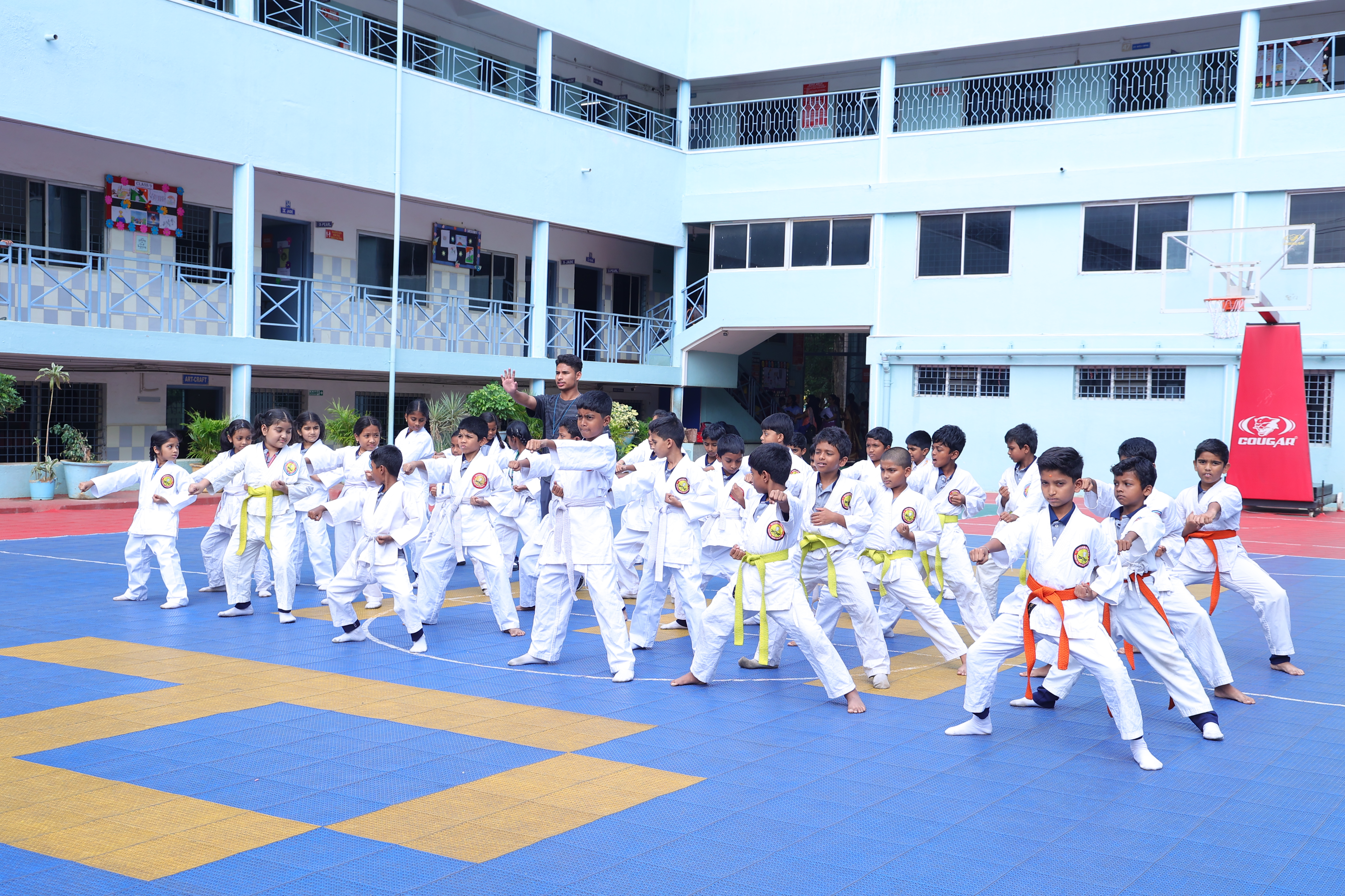 Outdoor sports arena activity